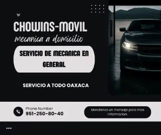 Mecánica en general chowins