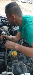 Eurocarsibabog sas