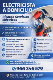 Ricardo Mendoza Quispe