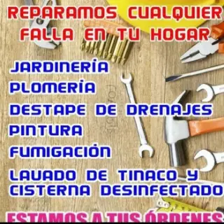 Servicios J.B