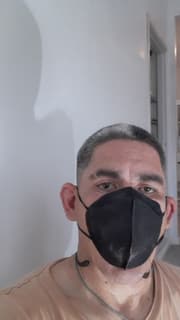 Pintura y reformas