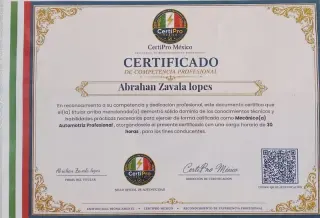 Abrahan Zavala